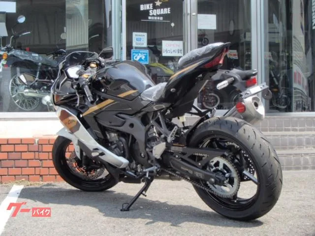 Kawasaki Ninja ZX-4R SE 2026 — миниатюра 4