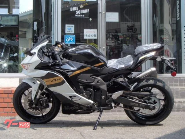 Kawasaki Ninja ZX-4R SE 2026 — миниатюра 5
