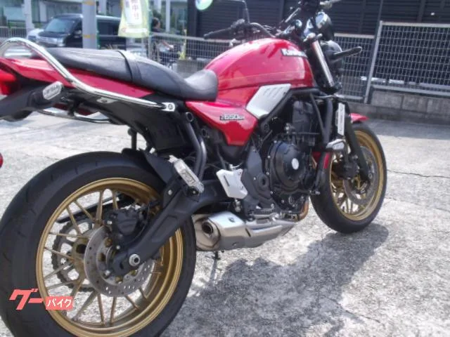 Kawasaki Z650RS 2024 — миниатюра 5