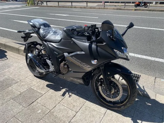 Suzuki GIXXER SF 250 2024 — миниатюра 2