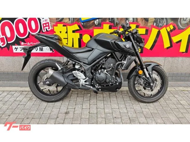 Yamaha MT-25 RG74J LED ABS 2022 — фото 1, купить с доставкой в Москву