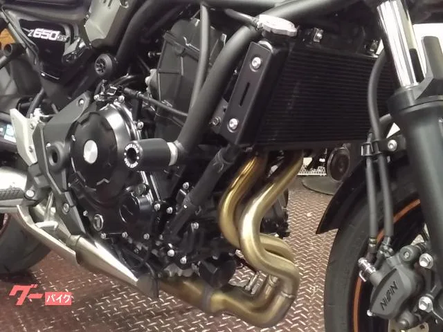 Kawasaki Z650RS 2022 — миниатюра 5