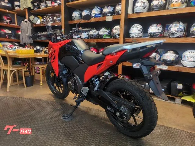 Suzuki V- 250SX 2024 — миниатюра 3