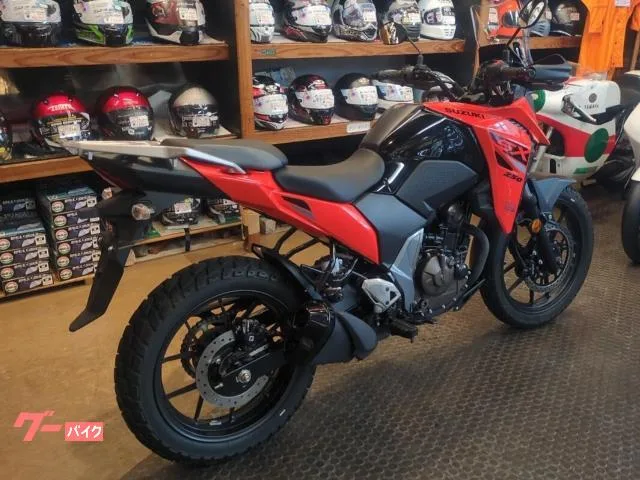 Suzuki V- 250SX 2024 — миниатюра 4
