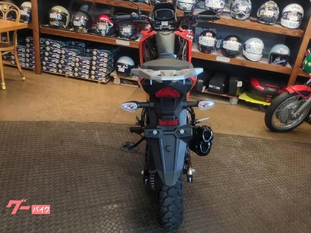 Suzuki V- 250SX 2024 — миниатюра 5