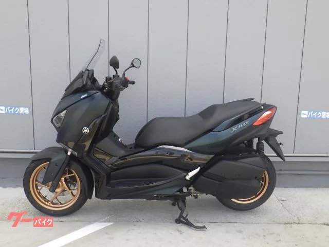 Yamaha X-MAX250 ETC 2022 — миниатюра 4