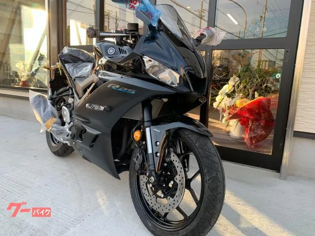 Yamaha YZF-R25 2024 2024 — миниатюра 2