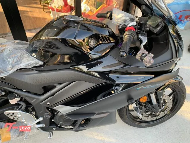 Yamaha YZF-R25 2024 2024 — миниатюра 4