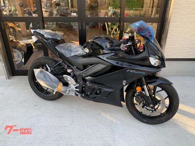Yamaha YZF-R25 2024 2024 — фото 1, купить с доставкой в Москву