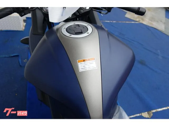 Suzuki GIXXER SF 250 ABS 2024 — миниатюра 5