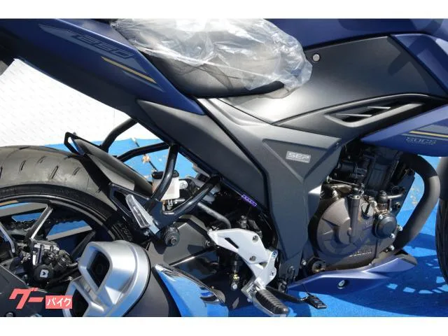 Suzuki GIXXER 250 ABS 2024 2024 — миниатюра 3