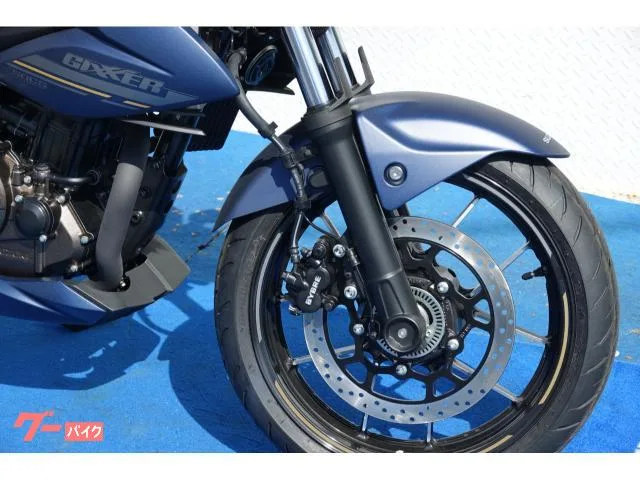 Suzuki GIXXER 250 ABS 2024 2024 — миниатюра 4