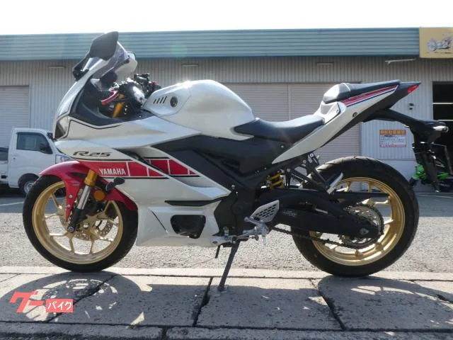Yamaha YZF-R25 60 ETC2.0 USB 2023 — миниатюра 5