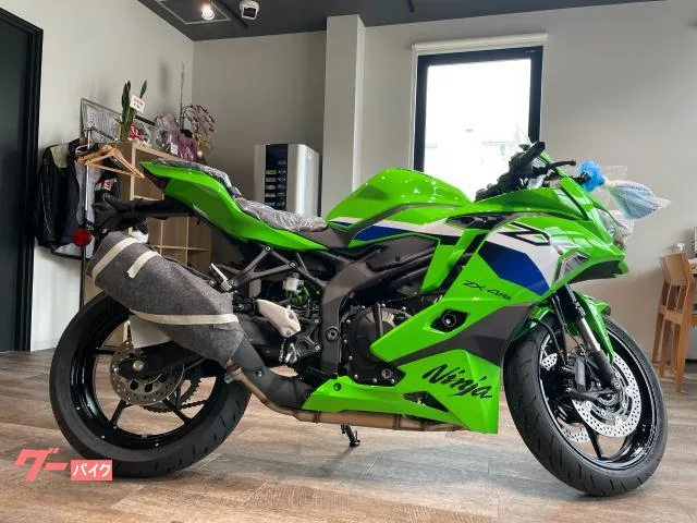 Kawasaki Ninja ZX-4RR 2025 — миниатюра 2