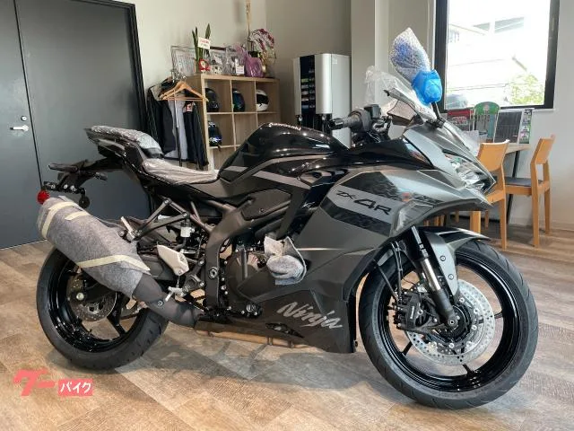 Kawasaki Ninja ZX-4R SE 2026 2026 — миниатюра 2