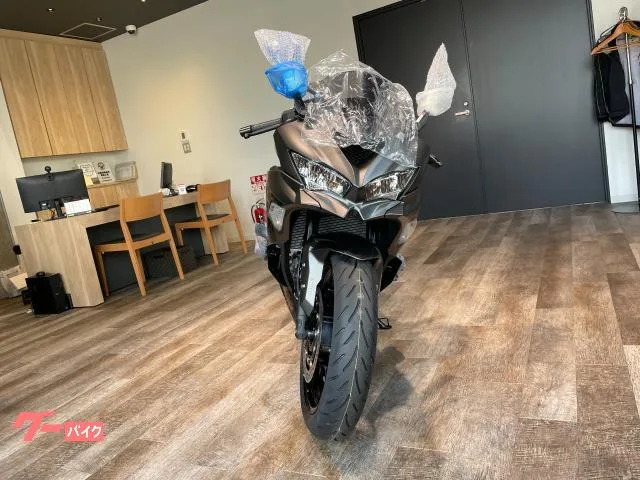 Kawasaki Ninja ZX-4R SE 2026 2026 — миниатюра 4