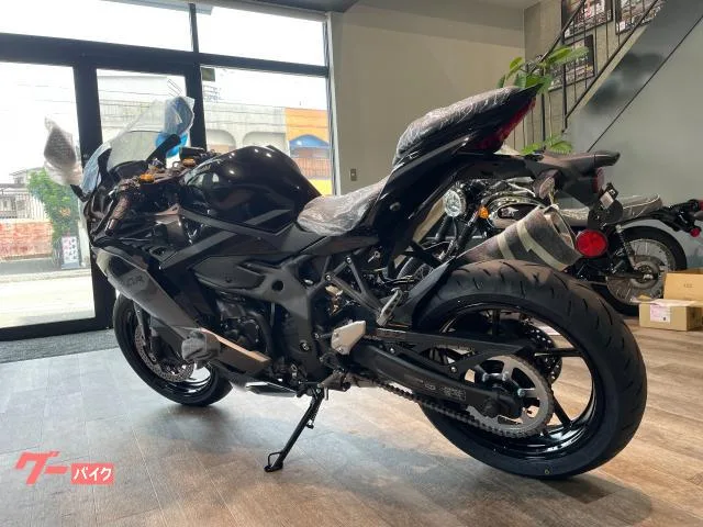 Kawasaki Ninja ZX-4R SE 2026 2026 — миниатюра 5