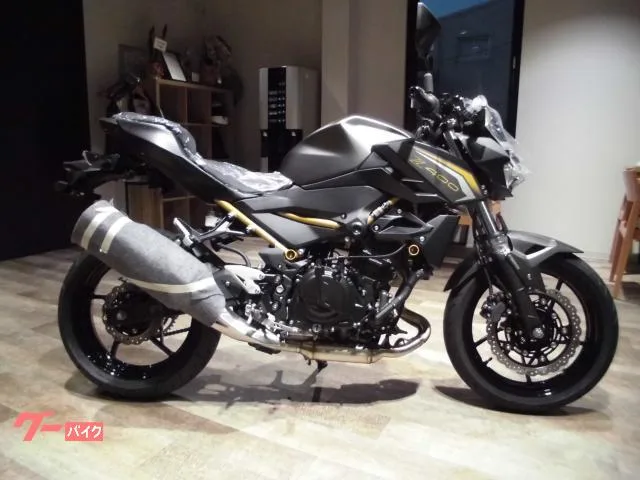 Kawasaki Z400 2026 2026 — миниатюра 2