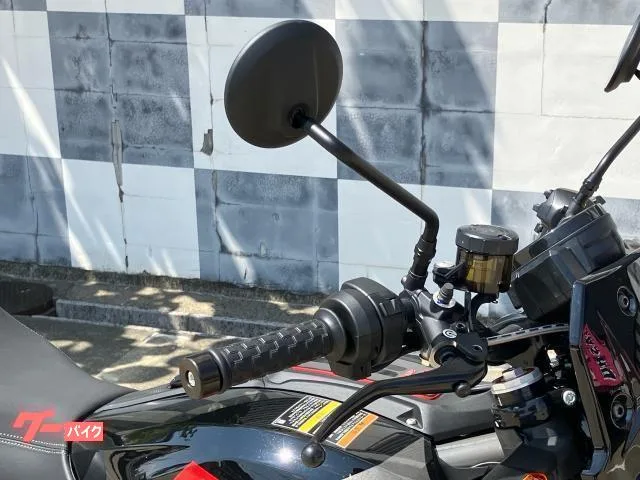 INDIAN FTR1200 Sport 2023 — миниатюра 3