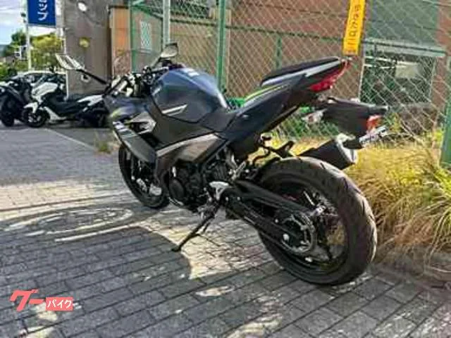 Kawasaki Ninja 400 ABS 2022 — миниатюра 3