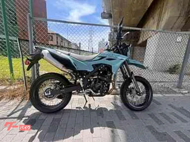 Kawasaki KLX230 SM ABS LED 2025 — фото 1, купить с доставкой в Москву