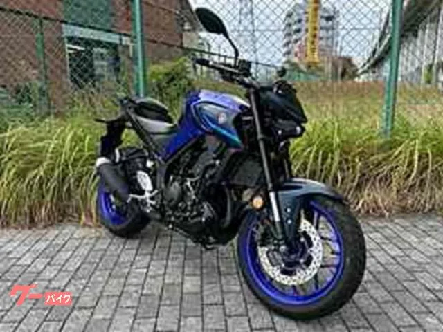 Yamaha MT-25 ABS 2022 — миниатюра 2