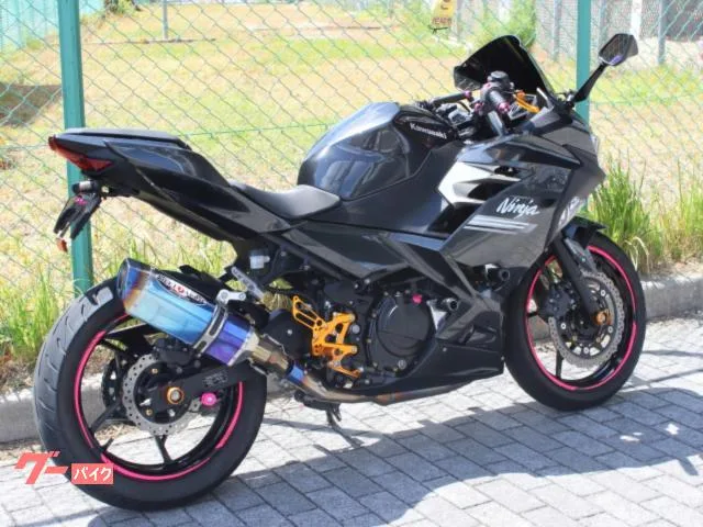Kawasaki Ninja 250 ABS 2022 — миниатюра 2