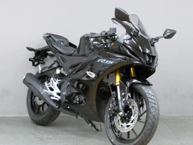 Yamaha YZF-R15 2023 — миниатюра 2