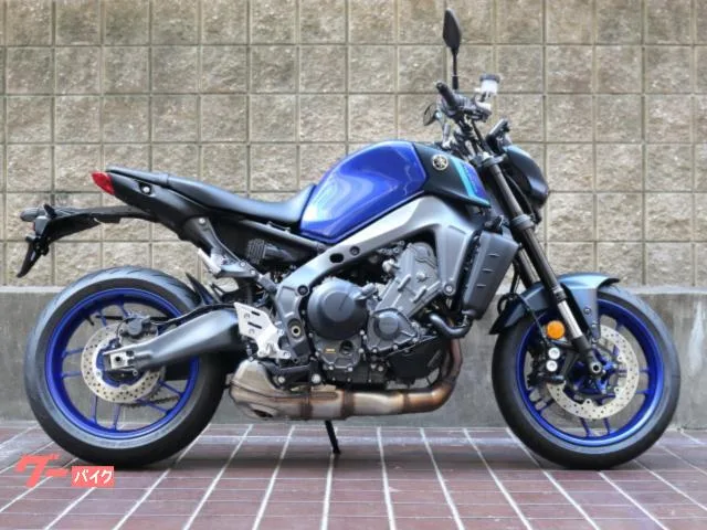 Yamaha MT-09 22 2022 — фото 1, купить с доставкой в Москву