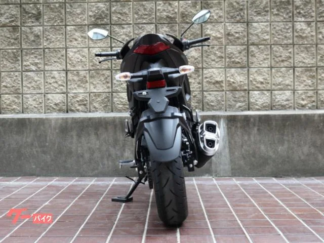 Suzuki GIXXER 250 23 2023 — миниатюра 3