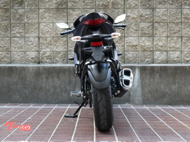 Suzuki GIXXER SF 250 23 2023 — миниатюра 3