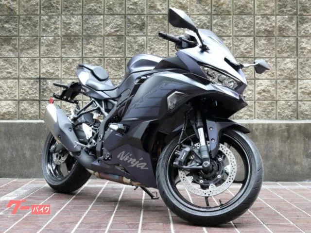 Kawasaki Ninja ZX-25R SE 25 2025 — миниатюра 2