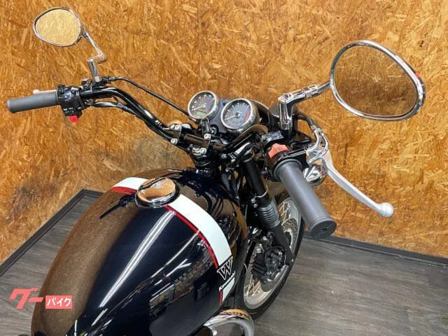 Kawasaki W800 ETC2.0 2022 — миниатюра 2