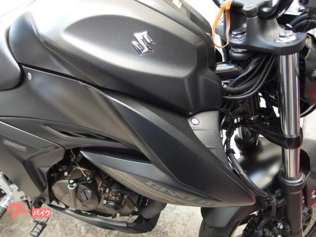 Suzuki GIXXER 250 2023 — миниатюра 3
