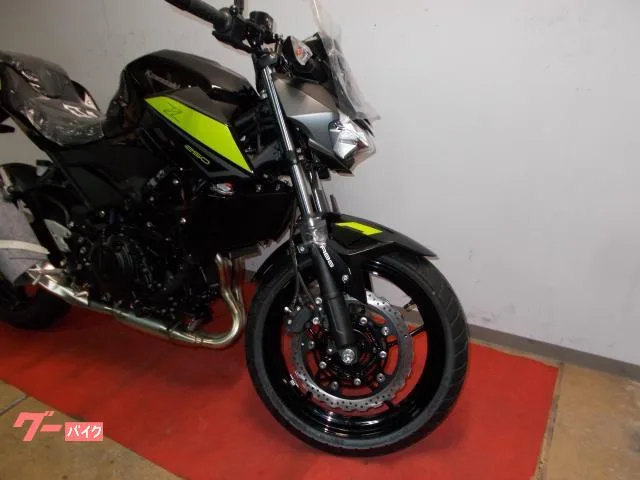 Kawasaki Z250 2022 — миниатюра 2