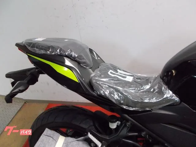 Kawasaki Z250 2022 — миниатюра 3