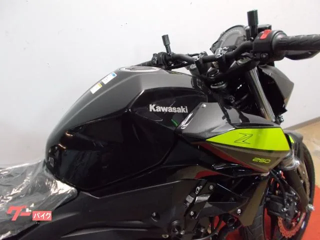 Kawasaki Z250 2022 — миниатюра 5