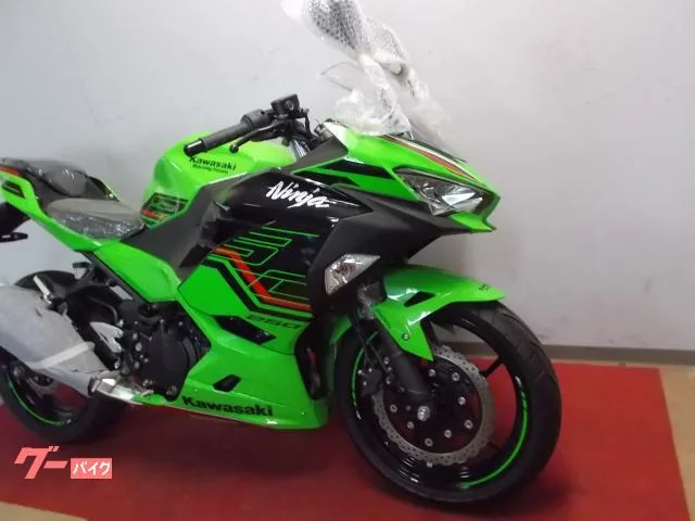 Kawasaki Ninja 250 2024 — миниатюра 2