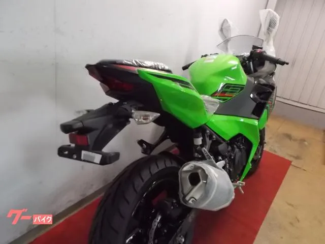 Kawasaki Ninja 250 2024 — миниатюра 3
