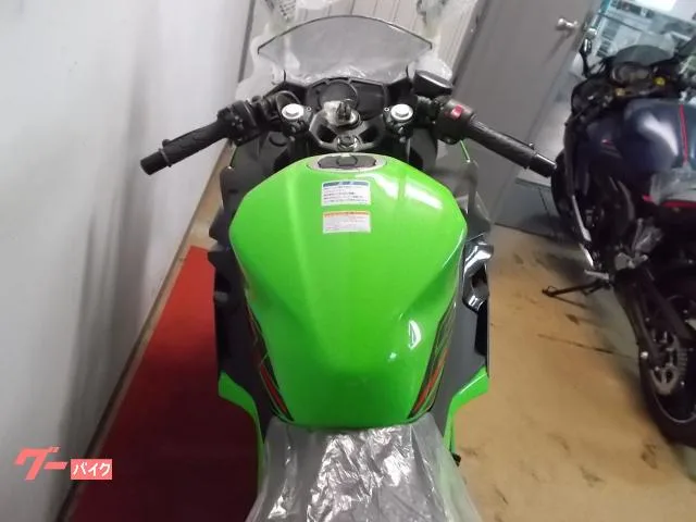 Kawasaki Ninja 250 2024 — миниатюра 5