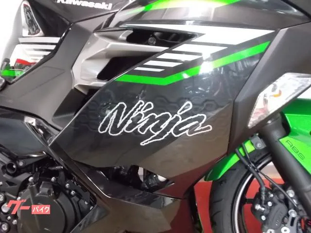 Kawasaki Ninja 400 2024 — миниатюра 2