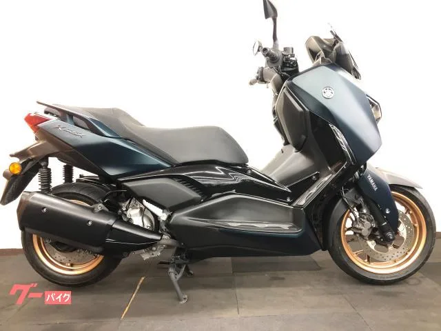 Yamaha X-MAX250 2023 — фото 1, купить с доставкой в Москву
