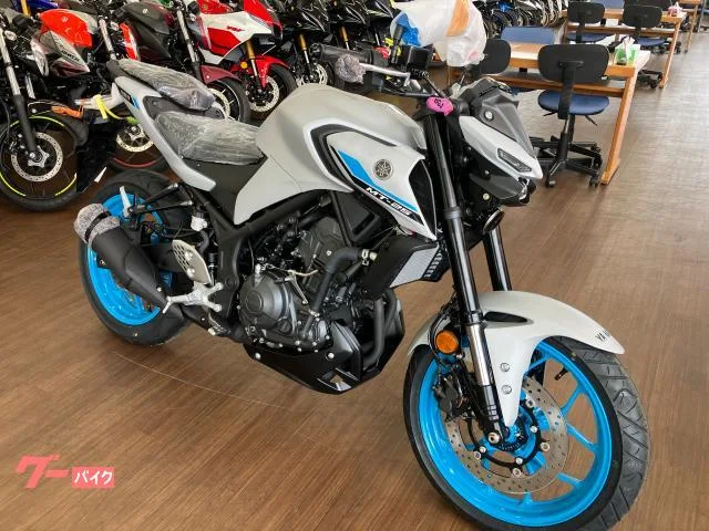 Yamaha MT-25 2025 — миниатюра 2