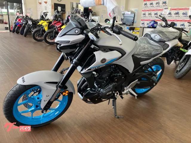 Yamaha MT-25 2025 — миниатюра 4