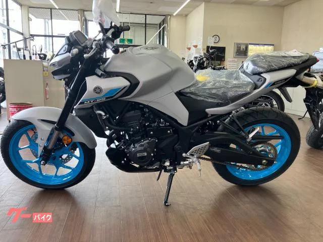 Yamaha MT-25 2025 — миниатюра 5