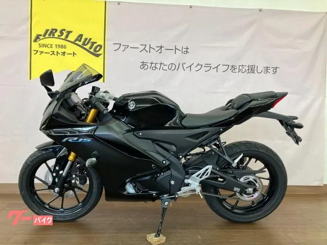 Yamaha YZF-R15 2023 — миниатюра 2