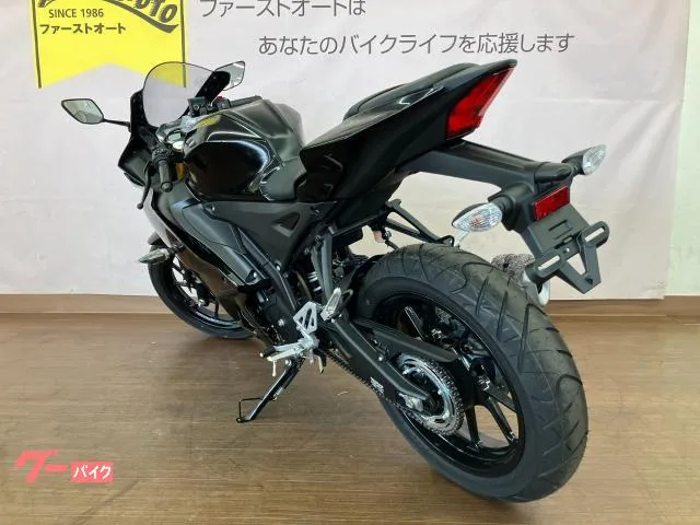 Yamaha YZF-R15 2023 — миниатюра 5