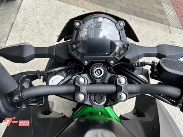 Kawasaki Z250 2025 — миниатюра 2