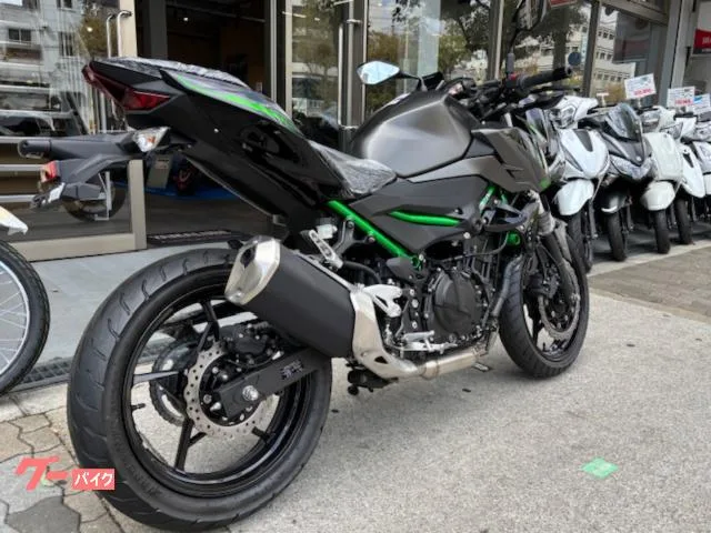 Kawasaki Z250 2025 — миниатюра 3