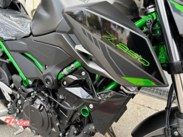 Kawasaki Z250 2025 — миниатюра 5